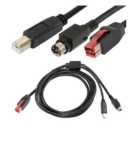 RealPOS 7199 USB Y Cable