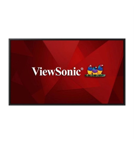 ViewSonic CDE6520 65-inch 4K Presentation Display