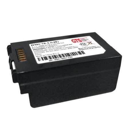 GTS - Zebra MC70/MC75 Replacement Battery Kit