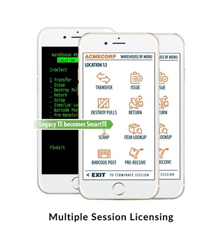 SmartTE - Multiple Session Licence (With 1 Years Maintenance)