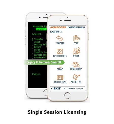 SmartTE - Single Session Licence (With 1 Years Maintenance)